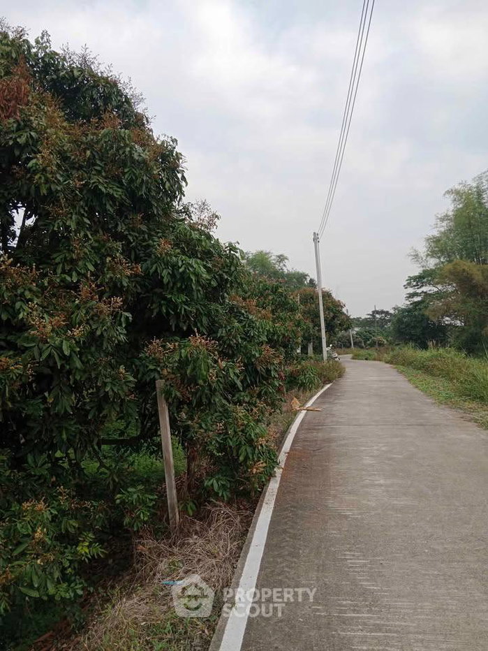 รูป ขายที่ดิน 46.9 ตร.ม. ทุ่งต้อม สันป่าตอง เชียงใหม่ (ID 3083397) - รูปที่ 3/3