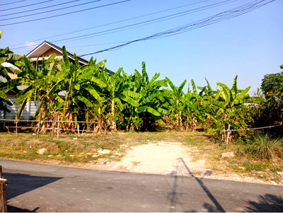 Land for sale Anya Thani Industrial Estate (Gemopolis) : Land for sale  Soi Phattanakarn96 
