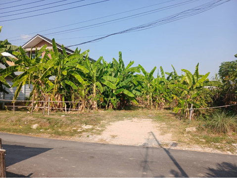ขายที่ดิน ถนนพัฒนาการ96 191ตรว