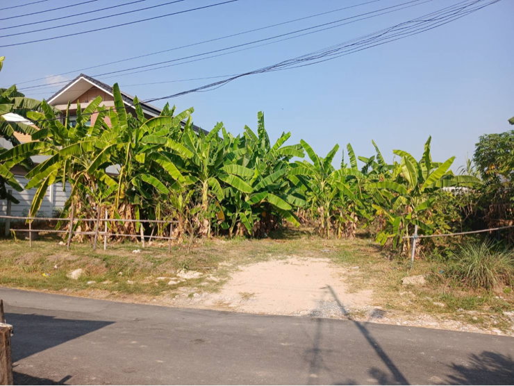 รูป ขายที่ดิน ถนนพัฒนาการ96 191ตรว - รูปที่ 1/10