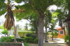 listing thumbnail image 23