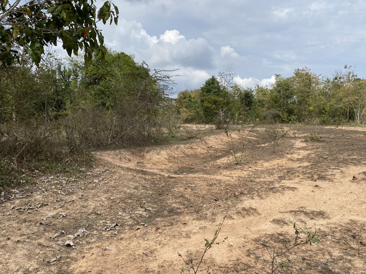 picture LAND 62633.5 Sq.w. Tha Yang Petchburi for 47M - 4/18