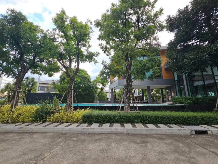รูป ให้เช่า บ้านเดี่ยวหลังมุม Centro ราชพฤกษ์–สวนผัก ทำเลศักยภาพ ติดสวนส่วนกลาง หน้าบ้านไม่ชนใคร บรรยากาศเงียบสงบ เป็นส่วนตัว พร้อมเข้าอยู่ (H6925) - รูปที่ 8/8