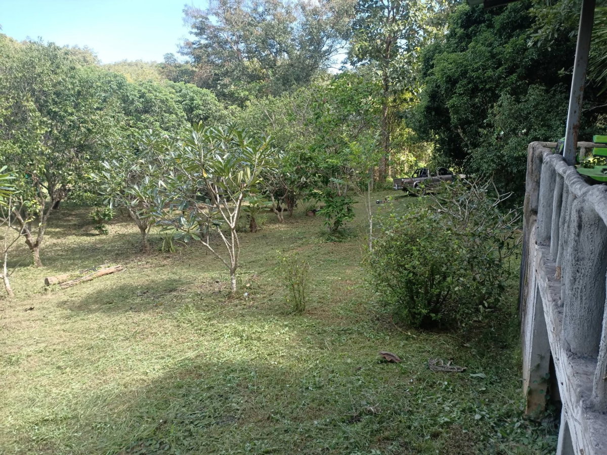รูป ขายด่วน! บ้านสวนบรรยากาศดี ใกล้ธรรมชาติ น้ำแพร่-หางดง 🌳🏔️ T. 063-6649056 - รูปที่ 3/14