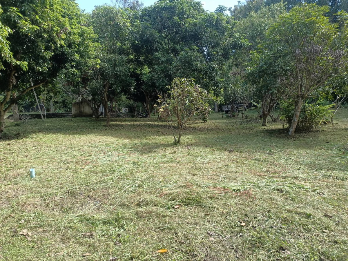 รูป ขายด่วน! บ้านสวนบรรยากาศดี ใกล้ธรรมชาติ น้ำแพร่-หางดง 🌳🏔️ T. 063-6649056 - รูปที่ 9/14