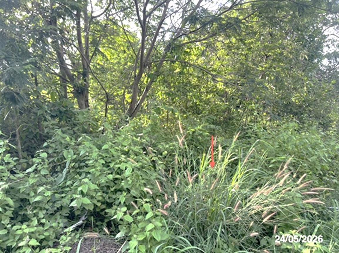 picture LAND 5451.5 Sq.w. Na Chaluai Ubon Ratchathani for 12M - 18/24