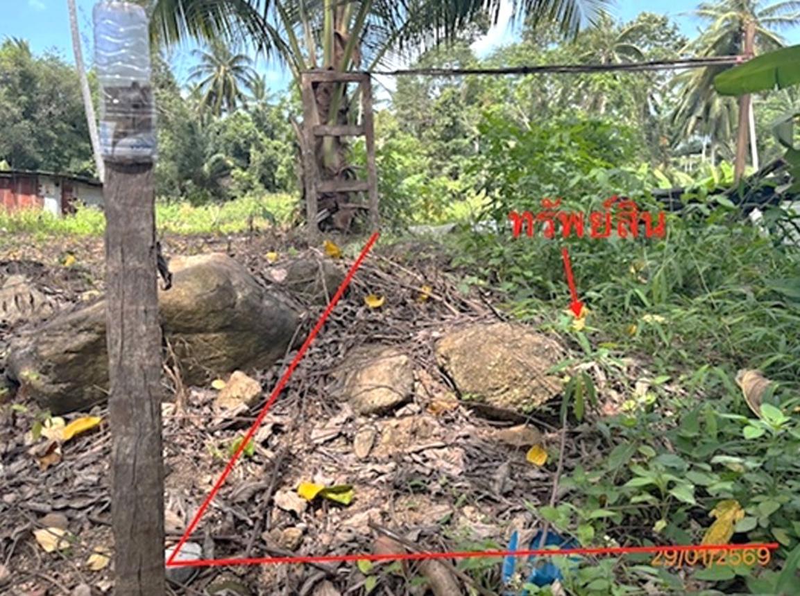 picture LAND 50 Sq.w. Ko Samui Surat Thani for 750,000 - 15/20
