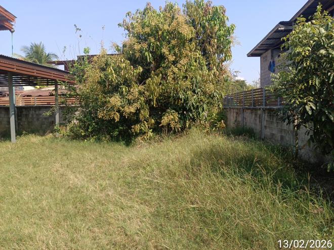picture HOME 130.1 Sq.w. Si Satchanalai Sukhothai for 1.7M - 3/14