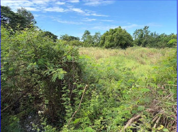 picture LAND 4000 Sq.w. Muang Nong Bua Lam Phu Nong Bua Lam Phu for 4.8M - 4/8