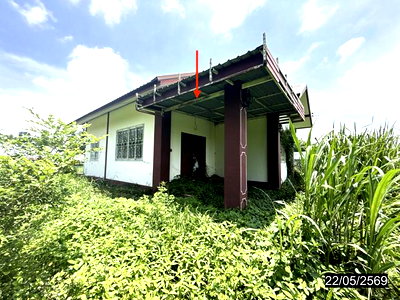 Houses for sale Nakhon Sawan : HOME 384 Sq.w. Lat Yao Nakhon Sawan for 1.5M