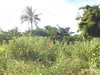 listing thumbnail image 2