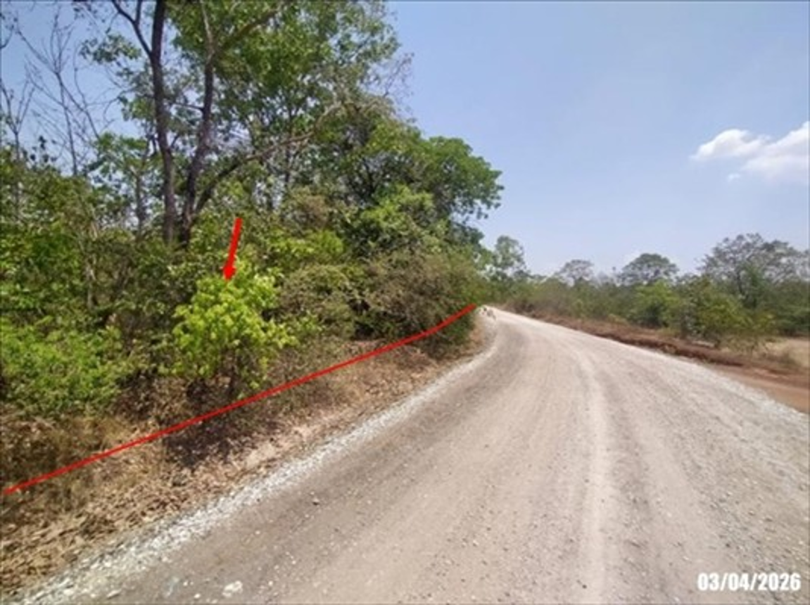 picture LAND 6783 Sq.w. Non Sang Nong Bua Lam Phu for 1.4M - 11/16