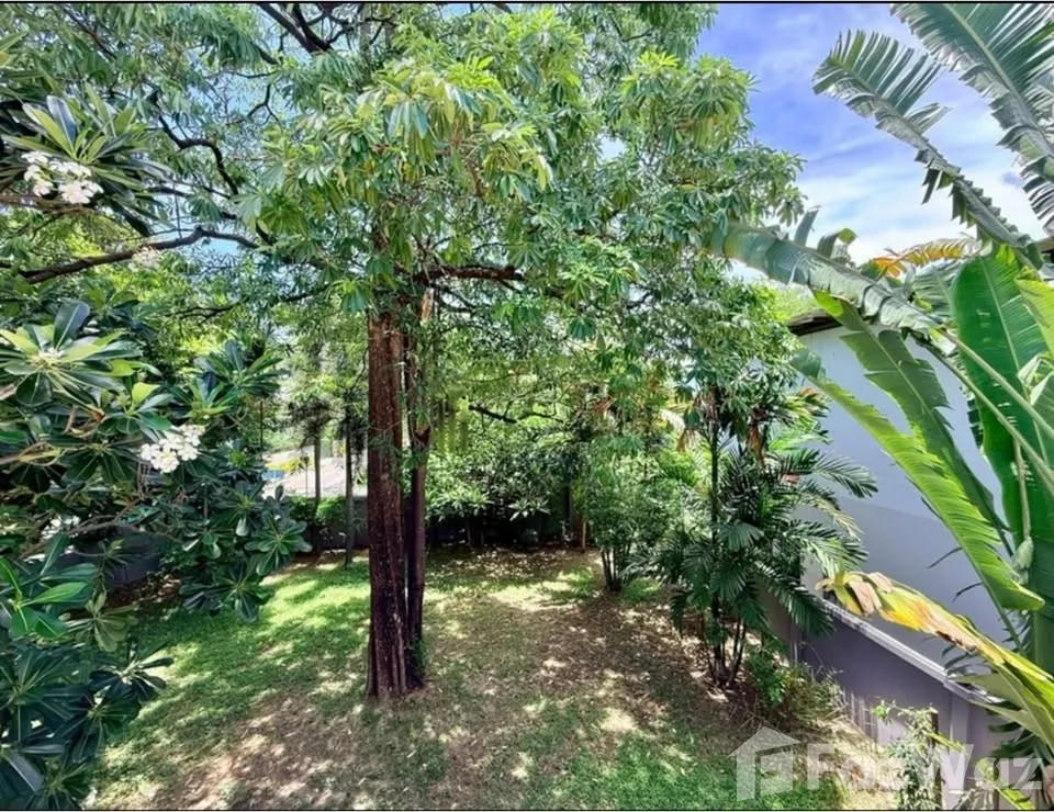 รูป บ้านเดี่ยวให้เช่า 5 ห้องนอน ใน บางจาก, กรุงเทพมหานคร 6588280 - รูปที่ 9/17