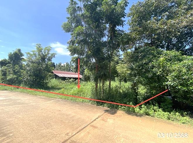 รูป บ้านเดี่ยว 965 ตร.วา หล่มสัก เพชรบูรณ์ 1.4M - รูปที่ 10/24
