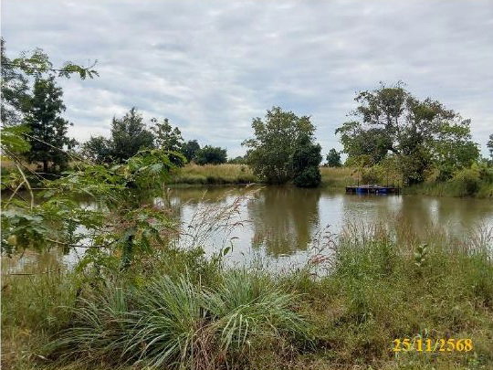 picture LAND 8125 Sq.w. Muang Nong Bua Lam Phu Nong Bua Lam Phu for 8.3M - 5/10