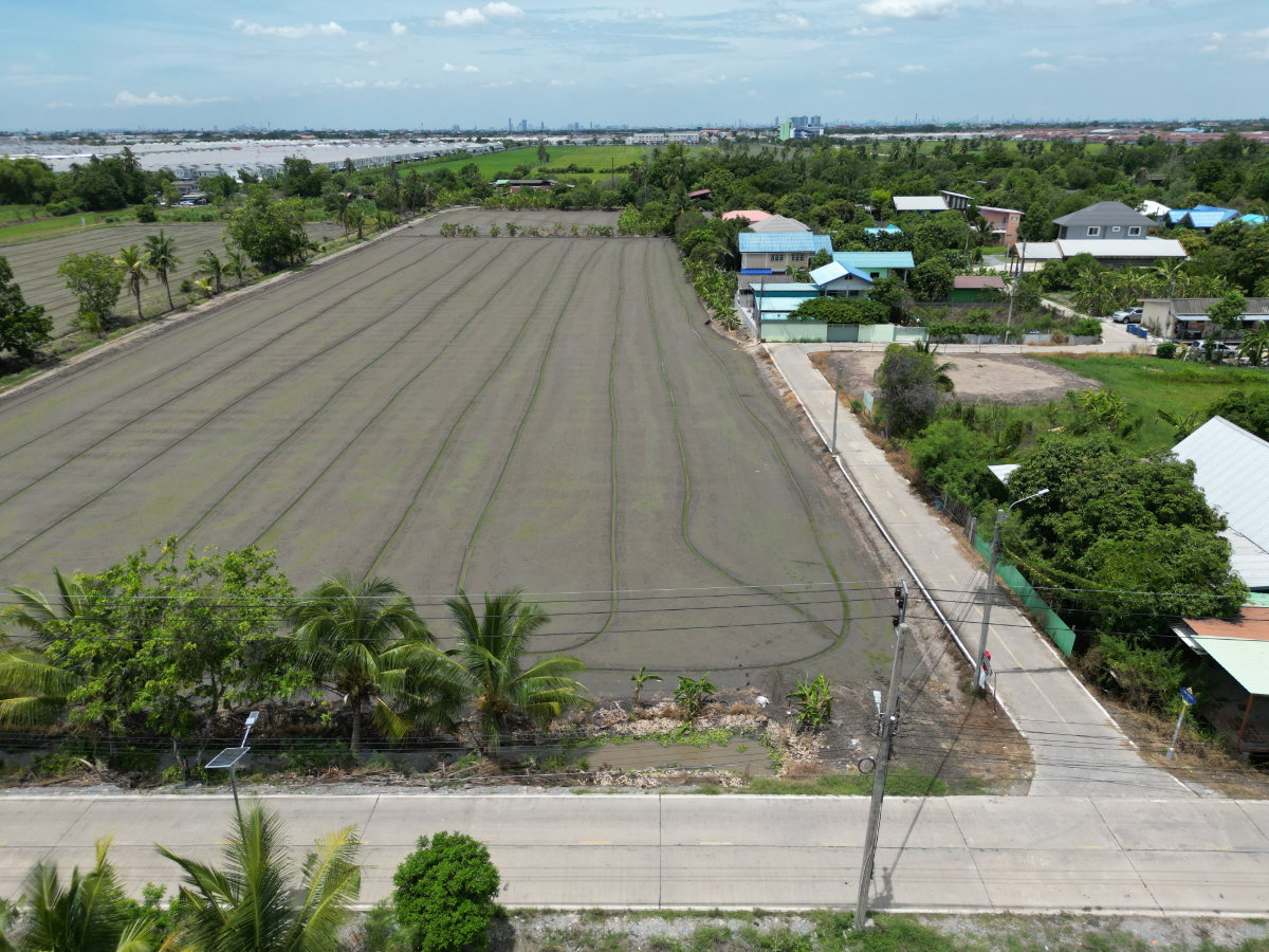 รูป #ขายที่ดิน #ไทรน้อย #บางบัวทอง ขนาด 20 ไร่ 81 วา #ราคาดีสุดๆ #ขายต่ำกว่าราคาประเมิน #ขายถูก - รูปที่ 9/18