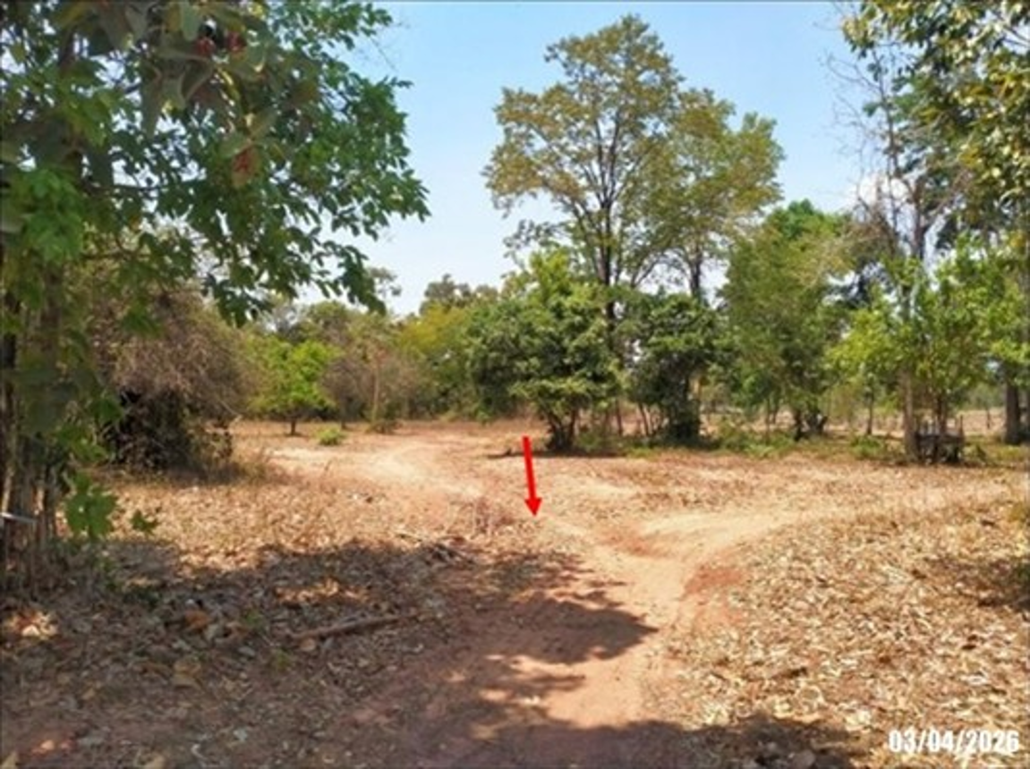 picture LAND 6783 Sq.w. Non Sang Nong Bua Lam Phu for 1.4M - 8/16