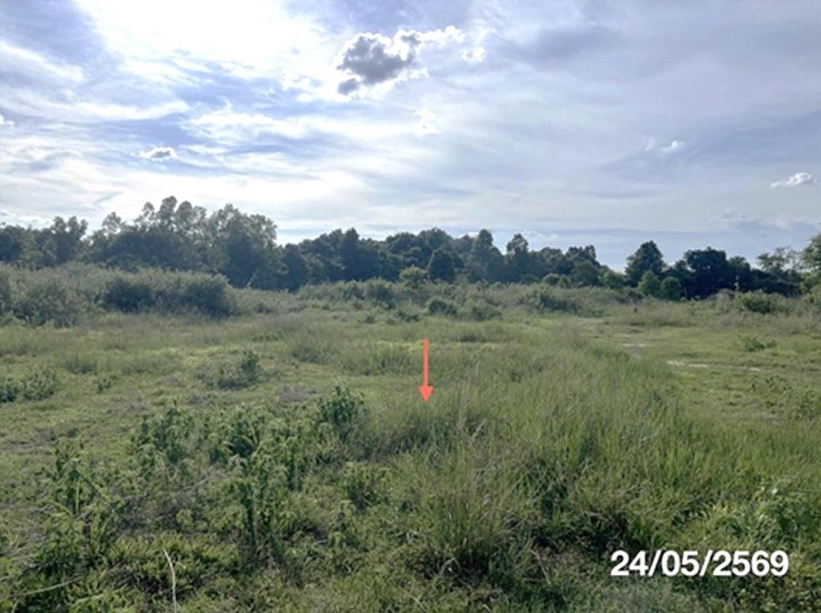 picture LAND 5451.5 Sq.w. Na Chaluai Ubon Ratchathani for 12M - 14/24