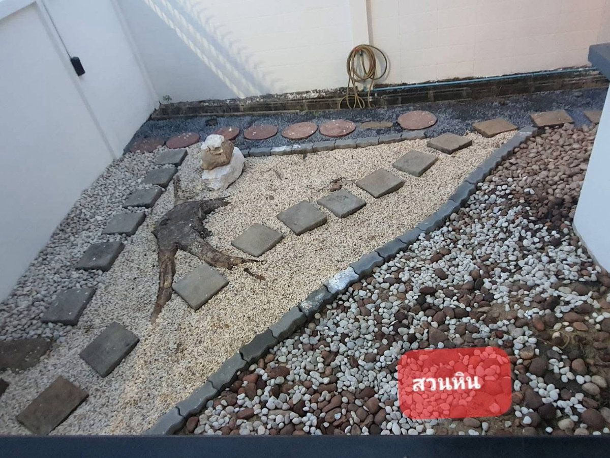 รูป 🏡 RENT / SALE | บ้านเดี่ยวทำเลศักยภาพ รัชดา 36 (ซอยเสือใหญ่) – ลาดพร้าววังหิน 2 ห้องนอน 3 ห้องน้ำ✅ - รูปที่ 10/10