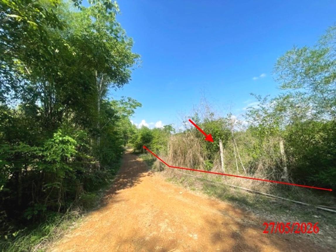 picture LAND 1812 Sq.w. Ko Kha Lamphang for 1.4M - 13/22