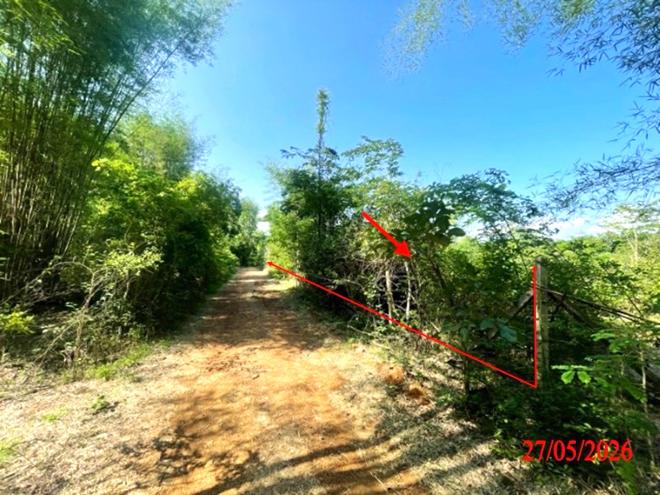 picture LAND 1812 Sq.w. Ko Kha Lamphang for 1.4M - 6/22