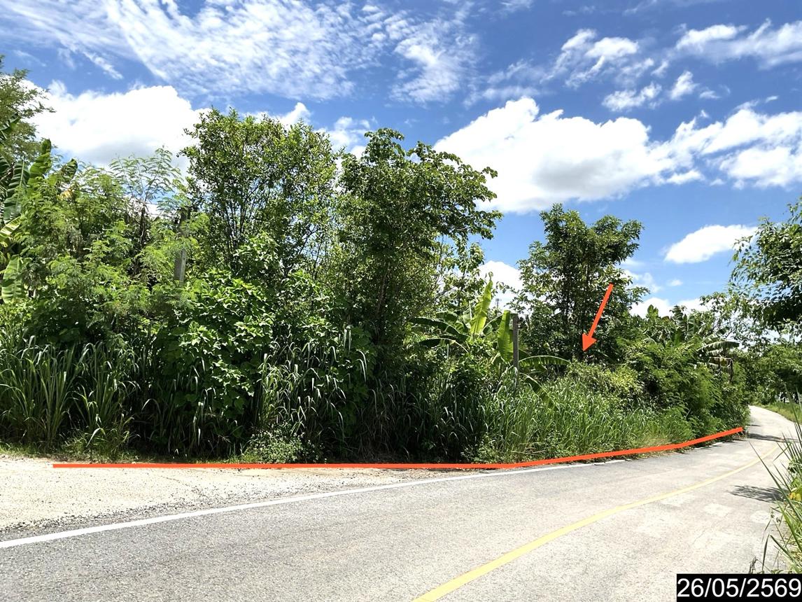 รูป บ้านเดี่ยว 447 ตร.วา เมืองเลย เลย 2.1M - รูปที่ 8/14
