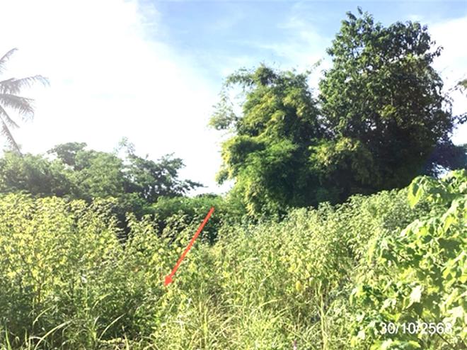 รูป ที่ดินว่างเปล่า 129 ตร.วา แม่ลาว เชียงราย 516,000 - รูปที่ 4/14
