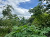 listing thumbnail image 12