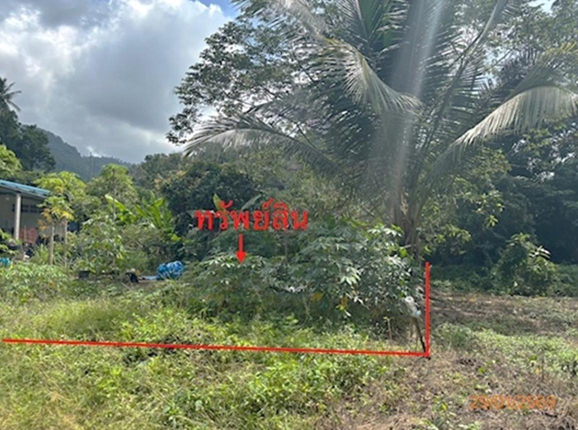 picture LAND 50 Sq.w. Ko Samui Surat Thani for 750,000 - 10/20