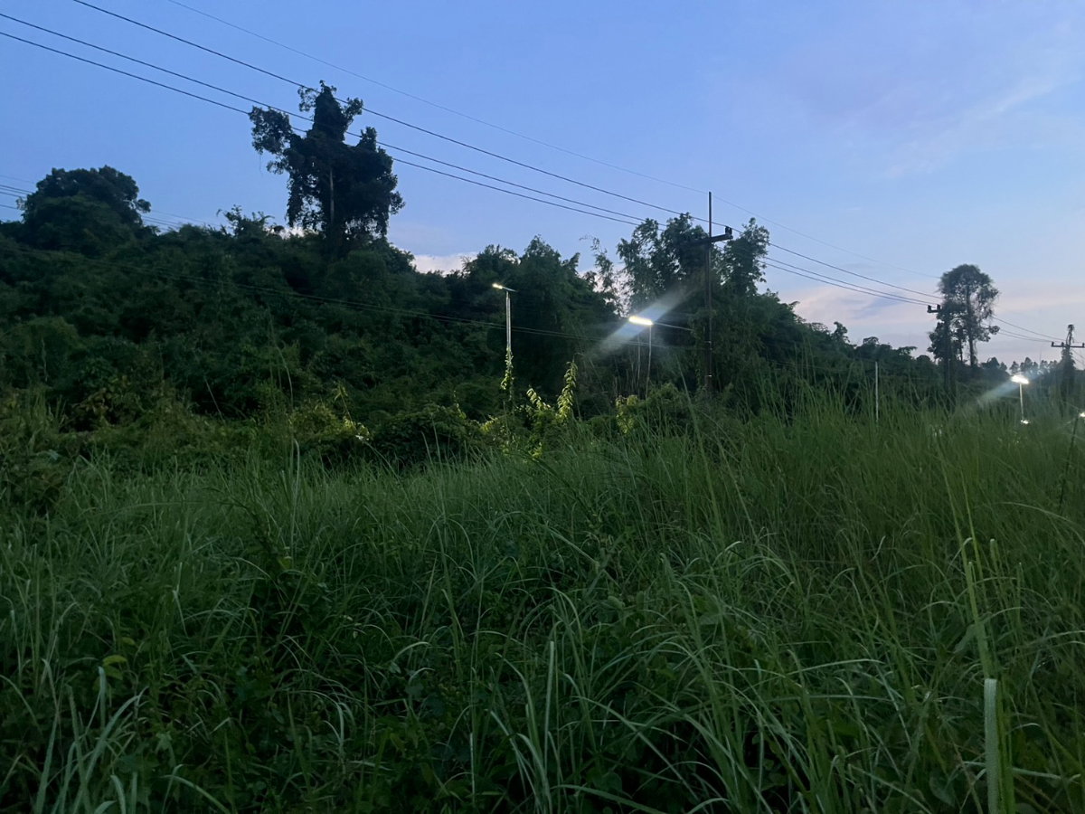 รูป ขายที่ดิน 107 ตารางวา โฉนดครุฑแดง ต.พรหมณี ติดถนนหลวง วิวเขาชัด - รูปที่ 11/20