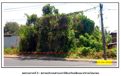 ที่ดินเปล่า 117 ตร.วา อำเภอกาญจนดิษฐ์ จังหวัดสุราษฎร์ธานี 2.3M