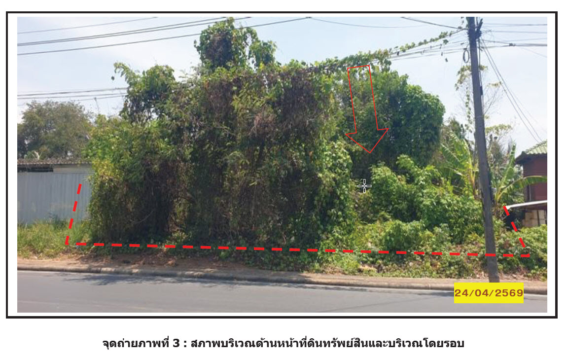 picture LAND 117 Sq.w. Kanchanadit Surat Thani for 2.3M - 1/2