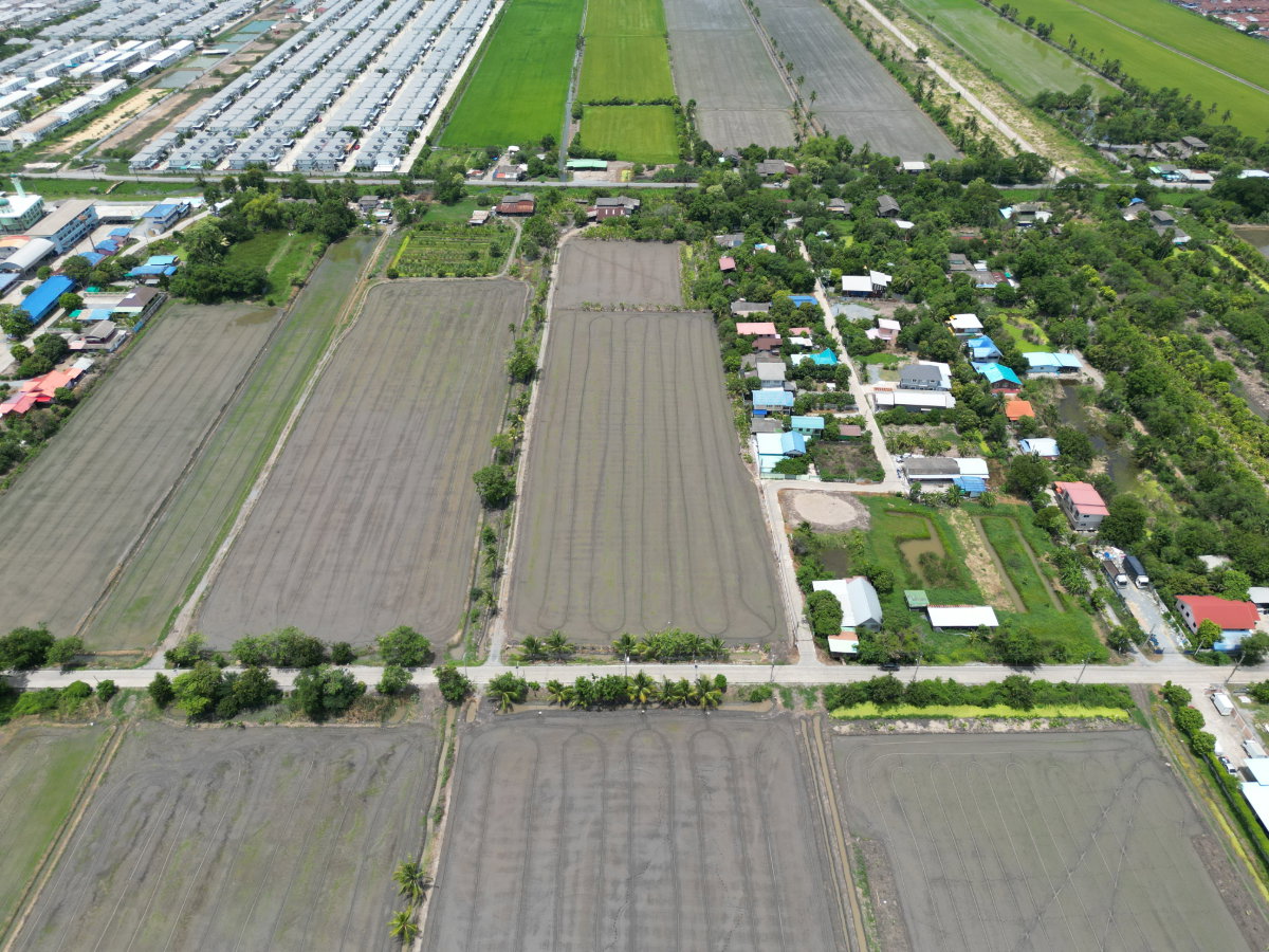 รูป #ขายที่ดิน #ไทรน้อย #บางบัวทอง ขนาด 20 ไร่ 81 วา #ราคาดีสุดๆ #ขายต่ำกว่าราคาประเมิน #ขายถูก - รูปที่ 16/18