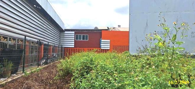 picture LAND 31.6 Sq.w. Muang Phatthalung Phatthalung for 790,000 - 3/12