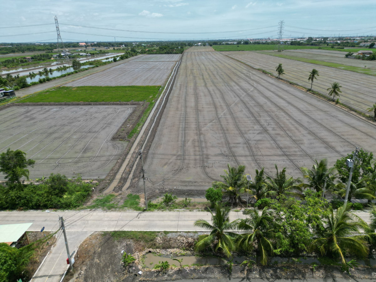 รูป #ขายที่ดิน #ไทรน้อย #บางบัวทอง ขนาด 20 ไร่ 81 วา #ราคาดีสุดๆ #ขายต่ำกว่าราคาประเมิน #ขายถูก - รูปที่ 12/18