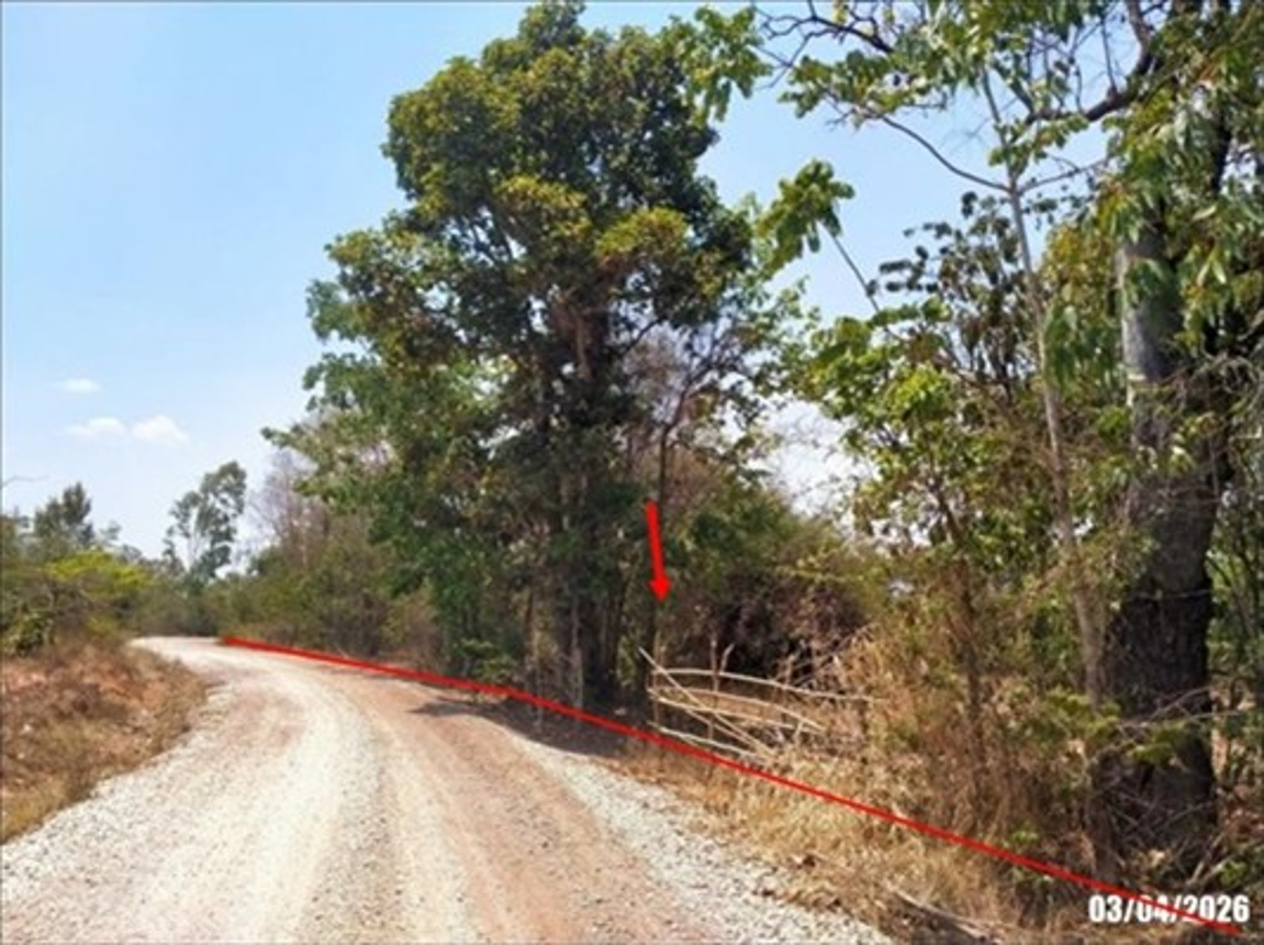 picture LAND 6783 Sq.w. Non Sang Nong Bua Lam Phu for 1.4M - 9/16