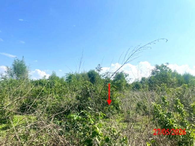 picture LAND 1812 Sq.w. Ko Kha Lamphang for 1.4M - 7/22