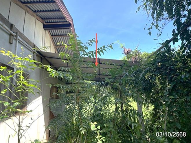 รูป บ้านเดี่ยว 965 ตร.วา หล่มสัก เพชรบูรณ์ 1.4M - รูปที่ 6/24