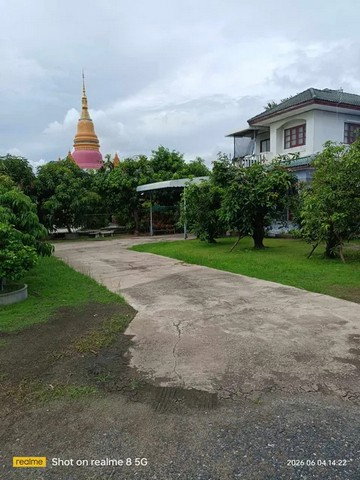 รูป ขายบ้านและที่ดิน บางพลี สมุทรปราการ เนื้อที่รวม260ตร.ว. ประกอบด้วยบ้าน2ชั้น1หลัง พื้นที่ใช้สอย 110ตร.ม. บ้านชั้นเดียว1หลัง พื้นที่ใช้สอย 81ตร.ม. - รูปที่ 5/17