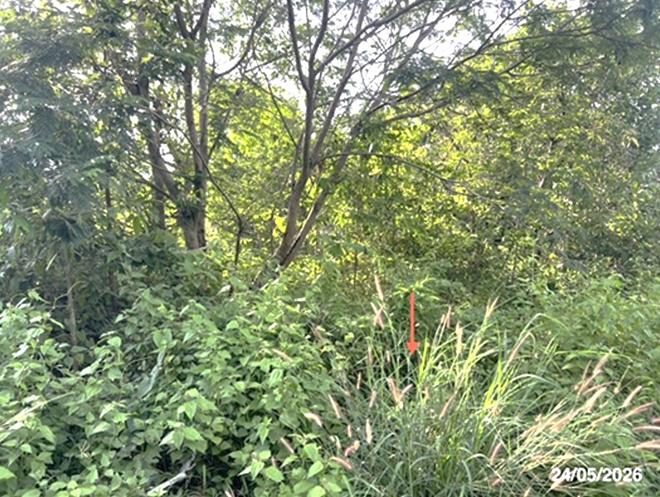 picture LAND 5451.5 Sq.w. Na Chaluai Ubon Ratchathani for 12M - 9/24