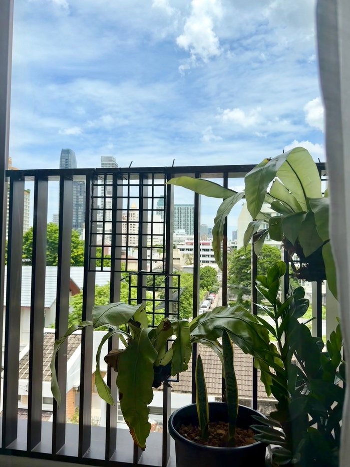 รูป Chapter Thonglor 25 1ห้องนอน 1ห้องน้ำ พร้อมเครื่องซักอบแห้ง วิวไม่บล็อค ใกล้ลิฟท์ ห้องไม่เคยปล่อยเช่า - รูปที่ 10/10