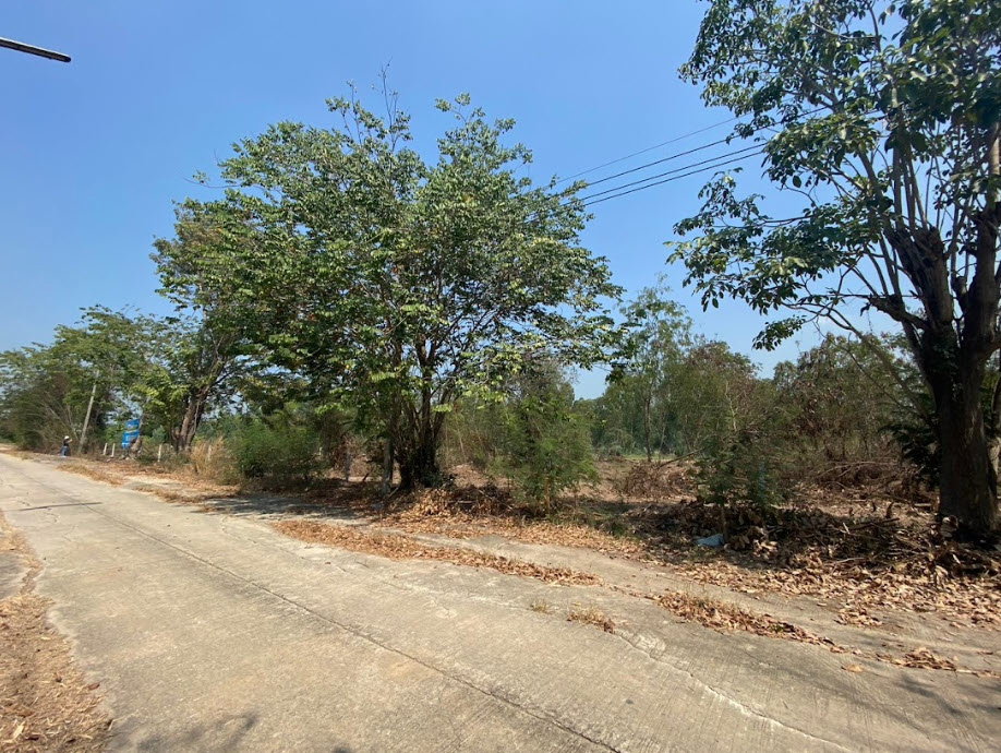 picture LAND 1596.8 Sq.w. Bang Sai Phra Nakhon Sri Ayutthaya for 2.7M - 4/8