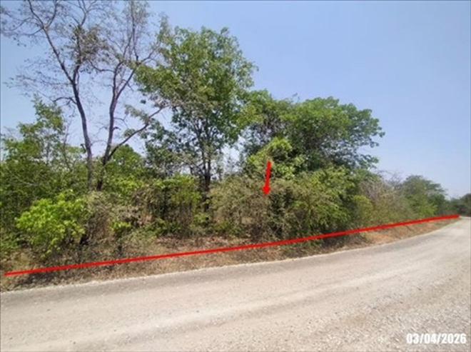 picture LAND 6783 Sq.w. Non Sang Nong Bua Lam Phu for 1.4M - 4/16