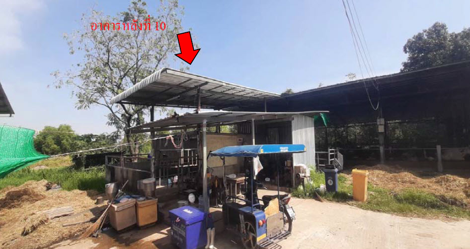 picture FACTORY 12981 Sq.w. Muang Surin Surin for 14.6M - 21/24