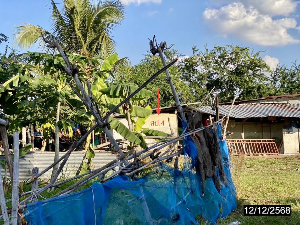 รูป บ้านเดี่ยว 860 ตร.วา พล ขอนแก่น 3.5M - รูปที่ 13/20