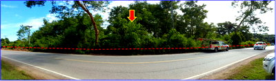 Land for sale : LAND 6000 Sq.w. Muang Nong Bua Lam Phu Nong Bua Lam Phu for 7M