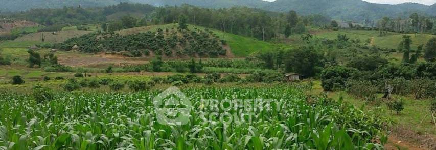 picture Land For Sale In Mae Na, Chiang Dao, Chiang Mai (ID 3087019) - 4/5