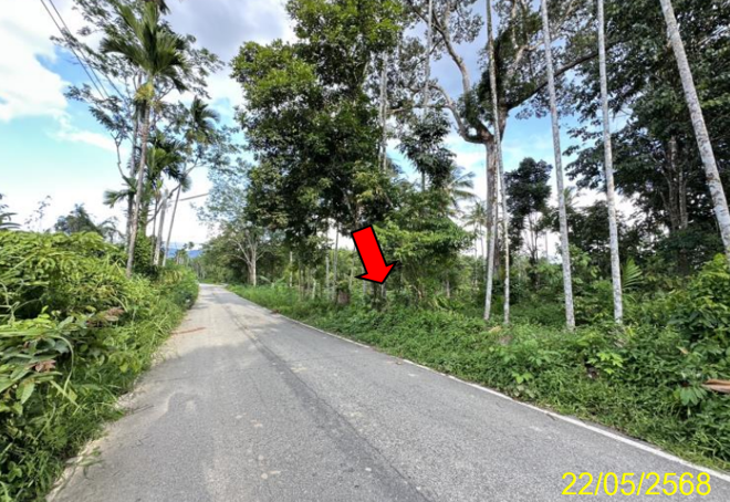 รูป ที่ดินว่างเปล่า 2280.4 ตร.วา รือเสาะ นราธิวาส 1.4M - รูปที่ 5/18
