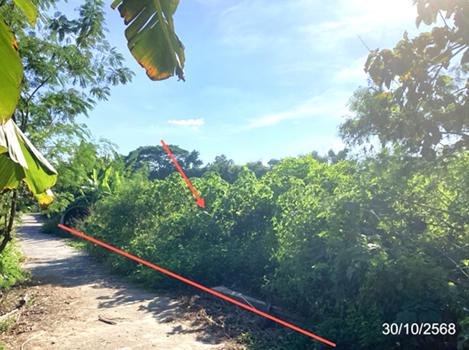 รูป ที่ดินว่างเปล่า 129 ตร.วา แม่ลาว เชียงราย 516,000 - รูปที่ 11/14