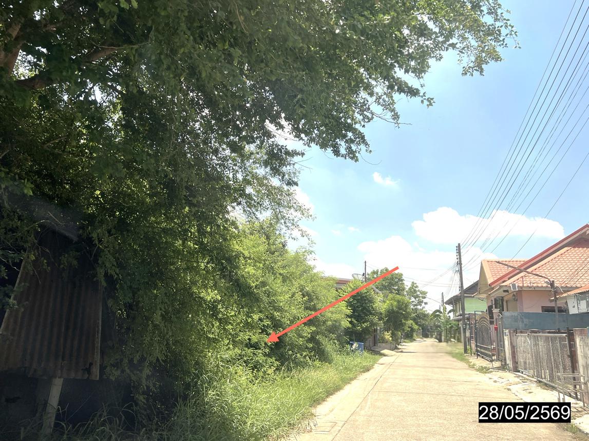 picture LAND 118 Sq.w. Kranuan Khon Kaen for 1.9M - 10/16